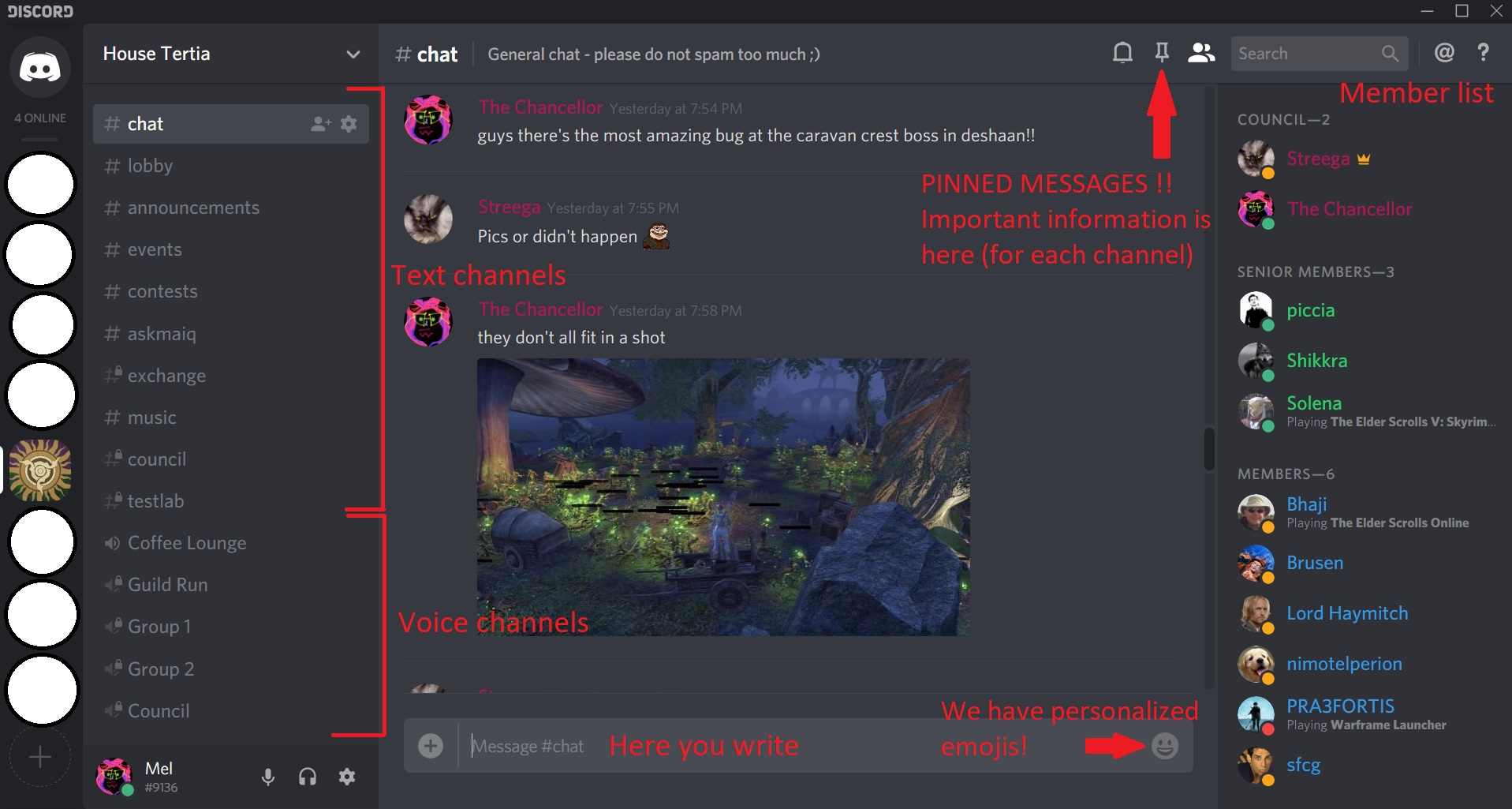 discord for mac vs windows